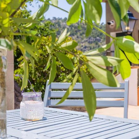 Bellavista Port De Soller Apartment Ngoại thất bức ảnh